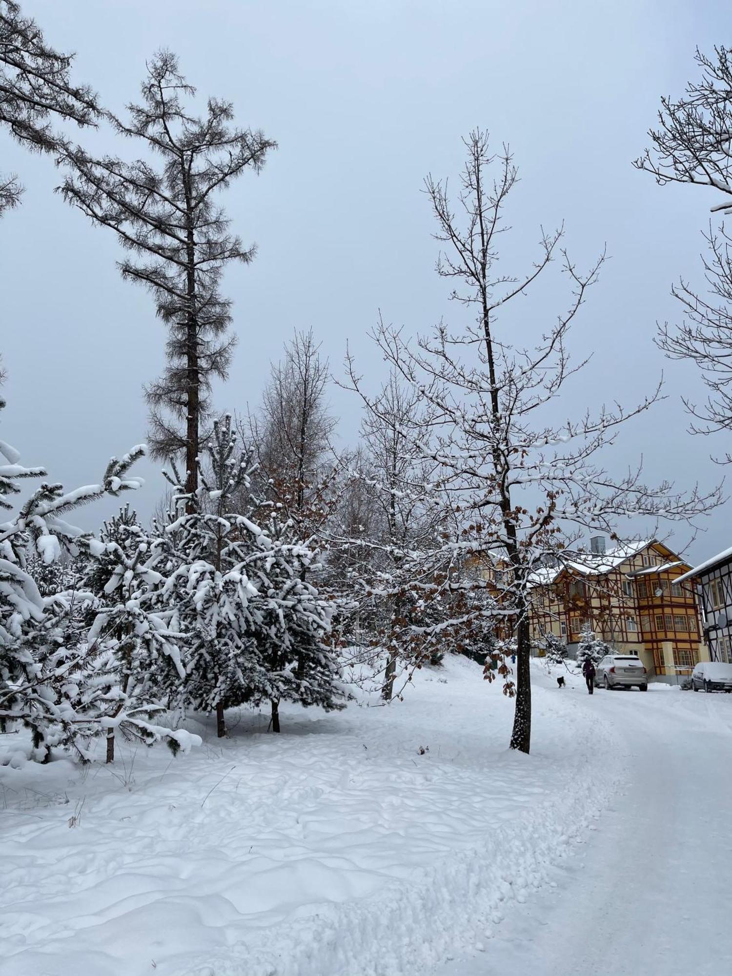Vila Mudron Vysoké Tatry Kültér fotó